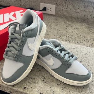 Brand new never worn Nike Dunks